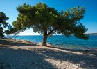 2013 09- D8H4367 : Petrcane, Zadar, semester, utlandet